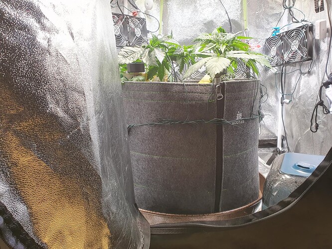 Growreport Bild 14