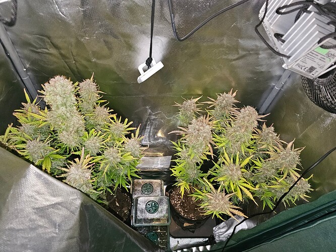 Growreport Bild 12