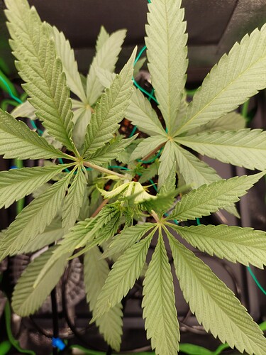Growreport Bild 7