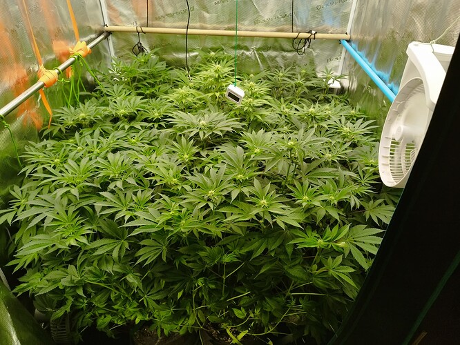 Growreport Bild 10