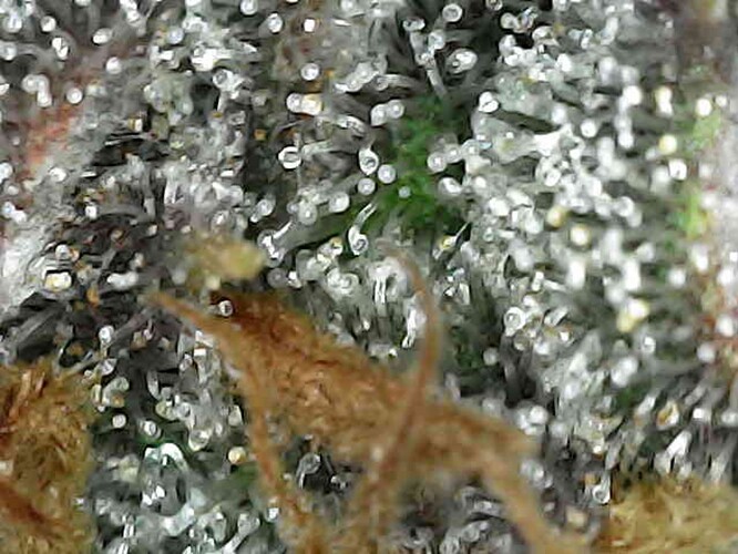 Photo_2025-04-28 16_25_29_029