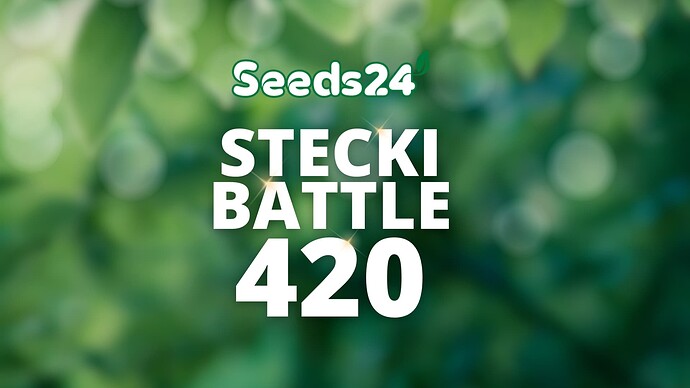 Seeds24 Stecki Battle Ankündigug