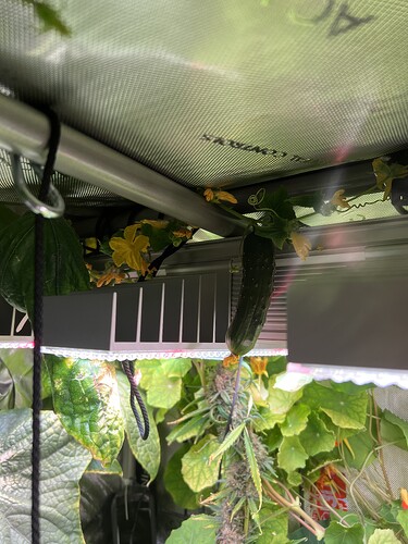 Growreport Bild 19
