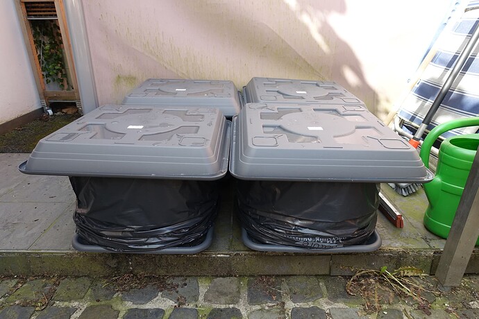 Growreport Bild 1
