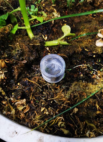 IMG_20250218_172112_edit_524623011848593