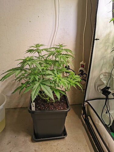 Growreport Bild 4