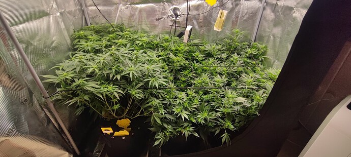 Growreport Bild 8