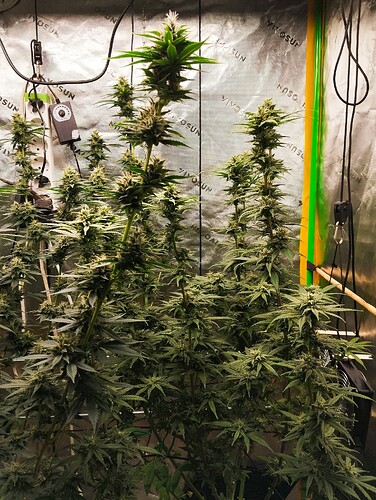 Growreport Bild 2