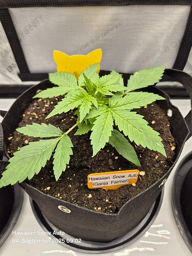 Growreport Bild 2
