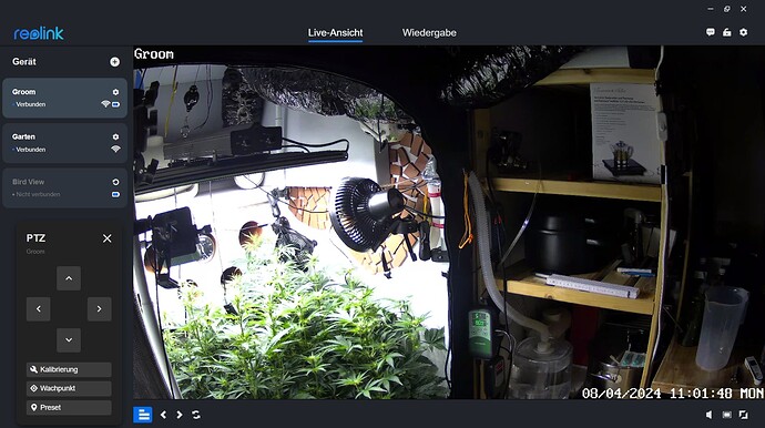 Growreport Bild 4