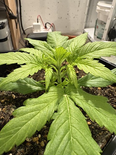 Growreport Bild 11