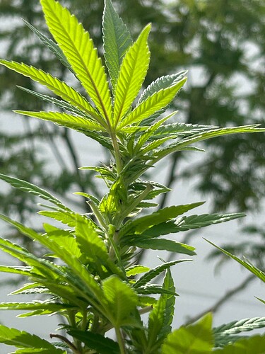 Growreport Bild 10