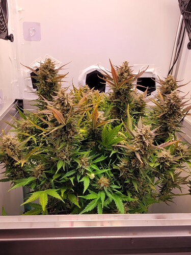 Growreport Bild 4