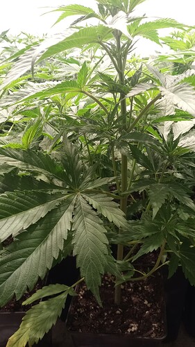 Growreport Bild 2