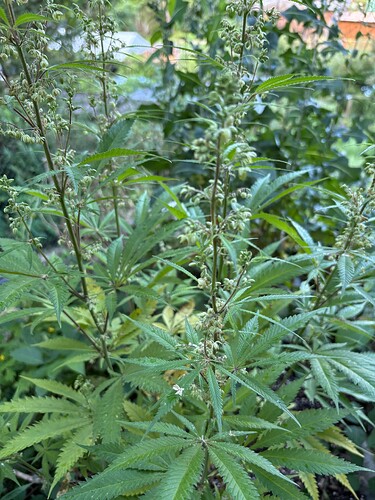 Growreport Bild 12