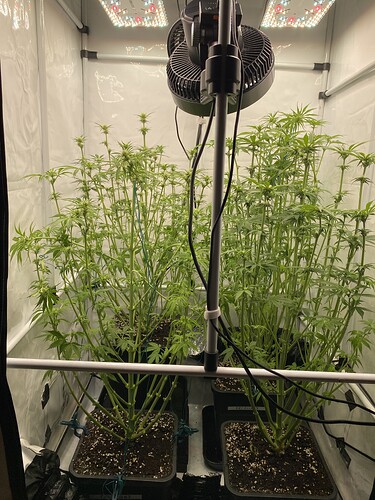 Growreport Bild 1