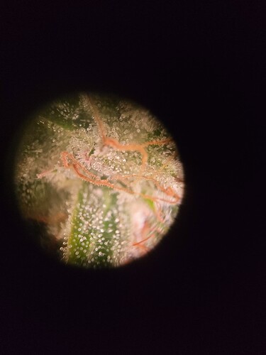 Growreport Bild 8