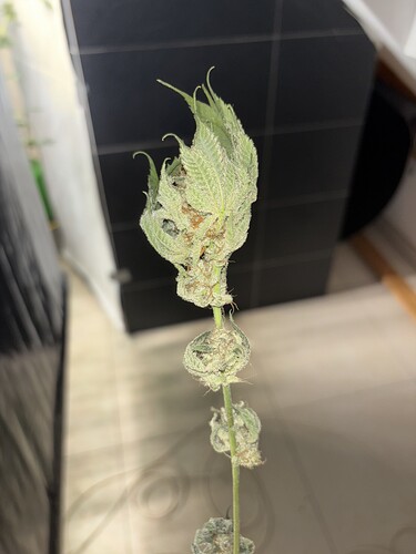 Growreport Bild 20