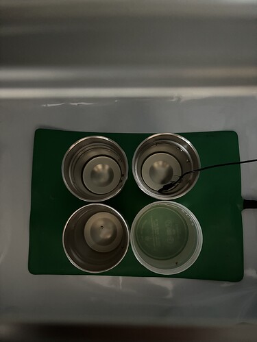 Growreport Bild 4