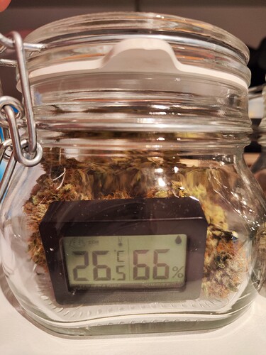 Growreport Bild 13
