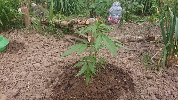 Growreport Bild 5