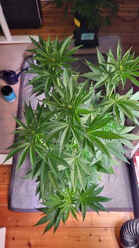 Growreport Bild 22