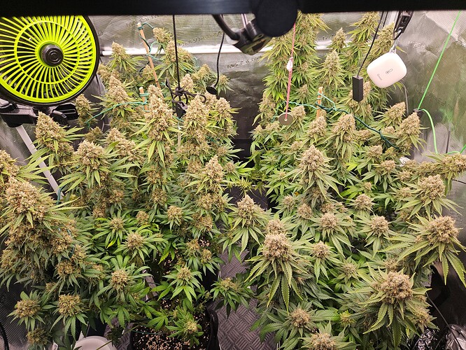 Growreport Bild 28