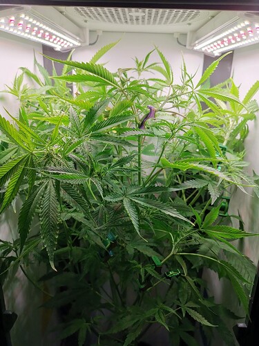 Growreport Bild 12