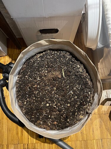 Growreport Bild 2
