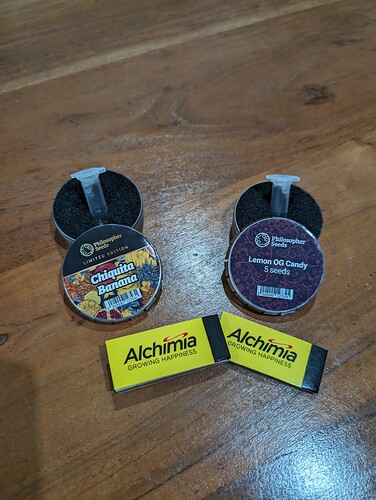 PXL_20240605_205122007