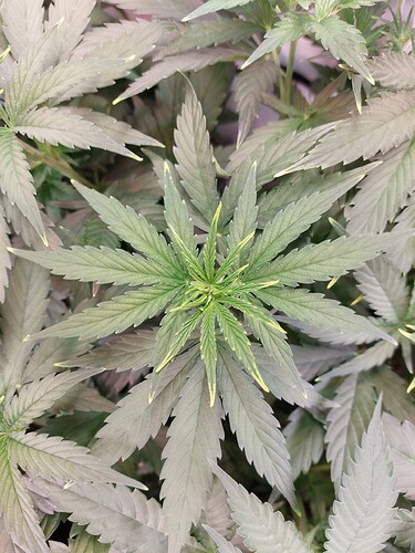 Growreport Bild 11
