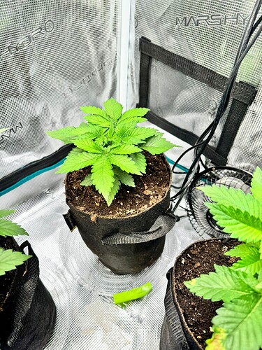 WhatsApp Image 2024-04-14 at 19.56.04 (2)