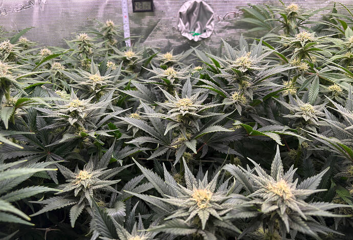 Foto 17.01.26, 06 06 26