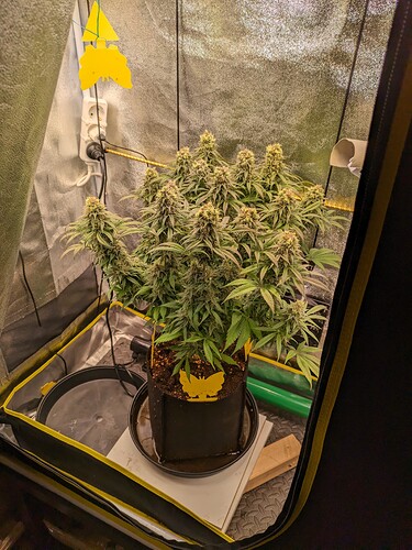 PXL_20240218_180232905