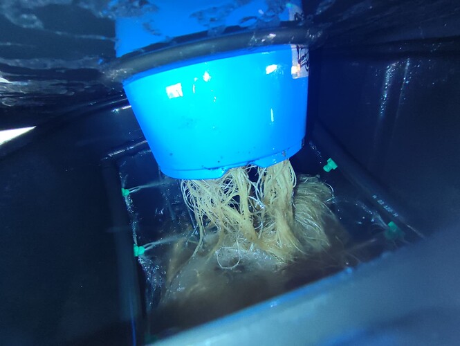 Growreport Bild 7