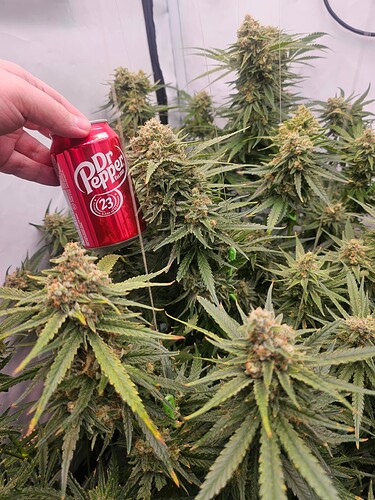 Growreport Bild 9