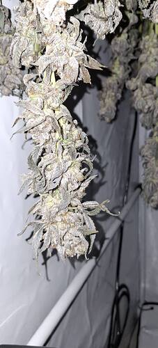 Growreport Bild 48