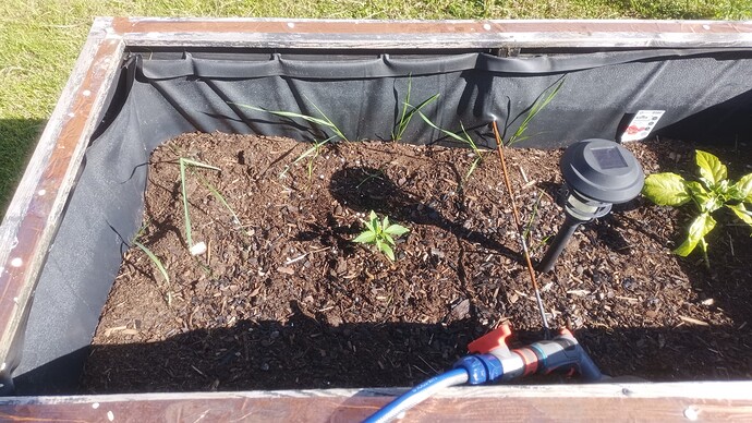Growreport Bild 6