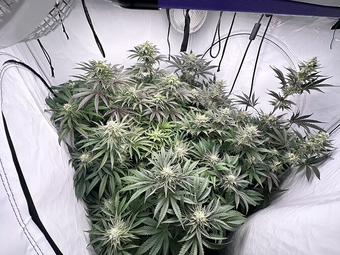 Growreport Bild 30