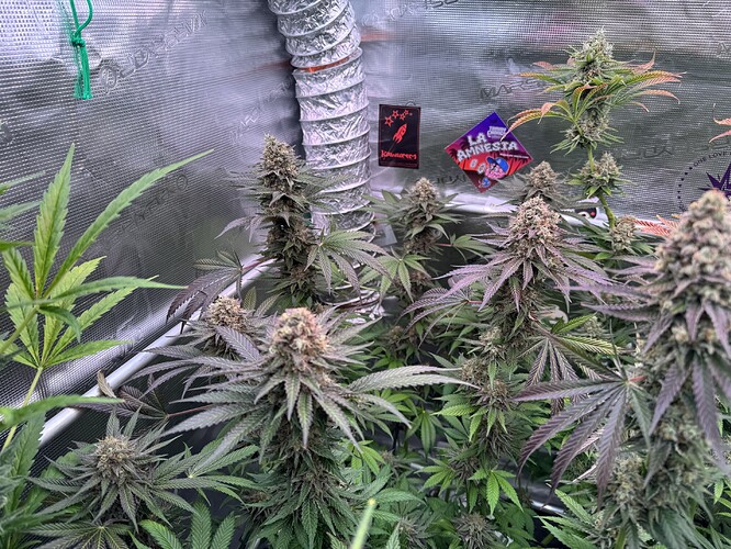 Growreport Bild 7