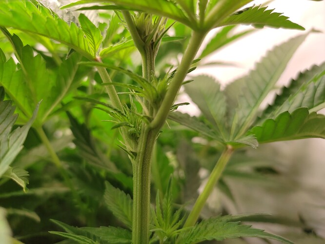 Growreport Bild 12