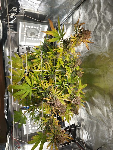 WhatsApp Image 2024-09-13 at 09.43.19 (1)