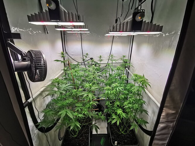 Growreport Bild 6