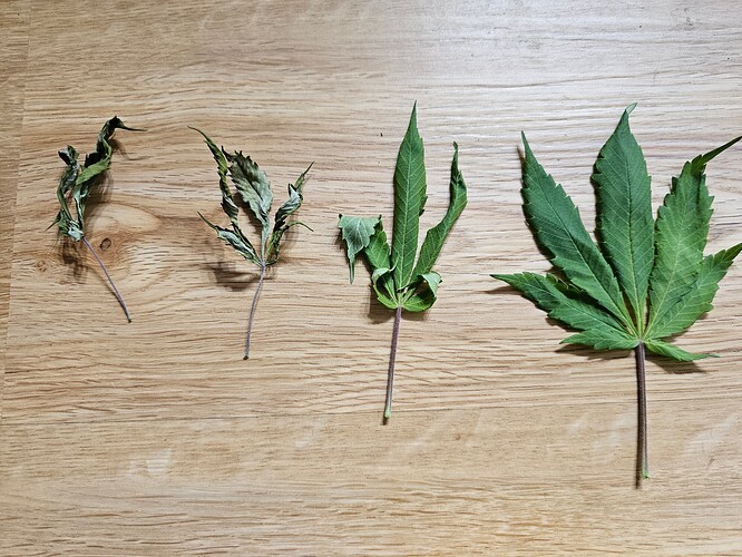 Growreport Bild 5