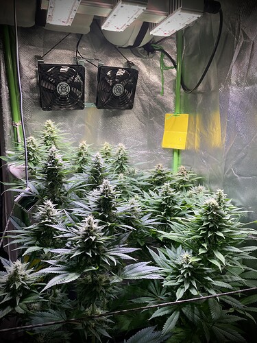 Growreport Bild 2