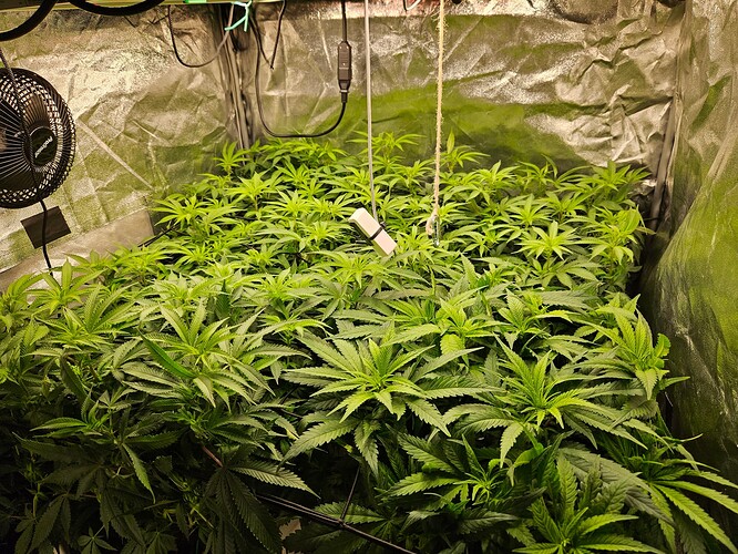Growreport Bild 5