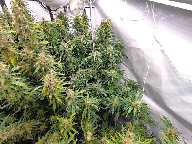 Growreport Bild 22