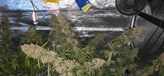 Growreport Bild 23