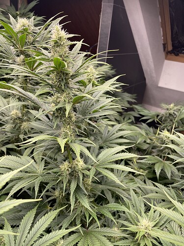 Growreport Bild 24