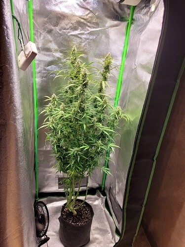 Growreport Bild 5